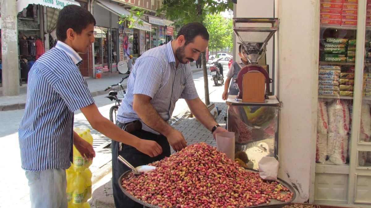 Yerli Fıstık Tezgahtaki Yerini Aldı