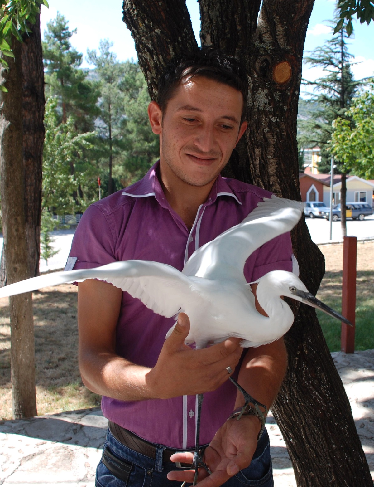 Yol Ortasındaki Yavru Beyaz Balıkçıl Kuşuna Yardım Eli