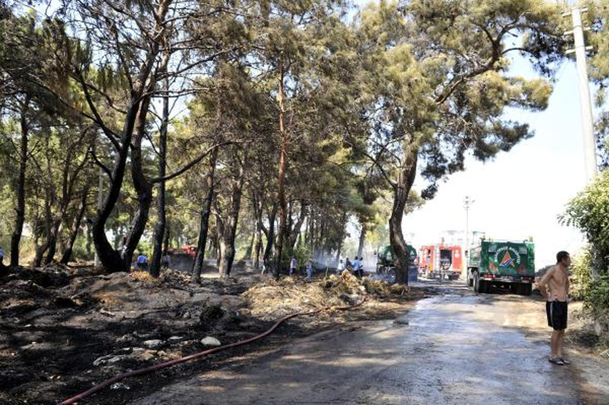 Antalya\'da Orman Yangını Kısa Sürede Söndürüldü
