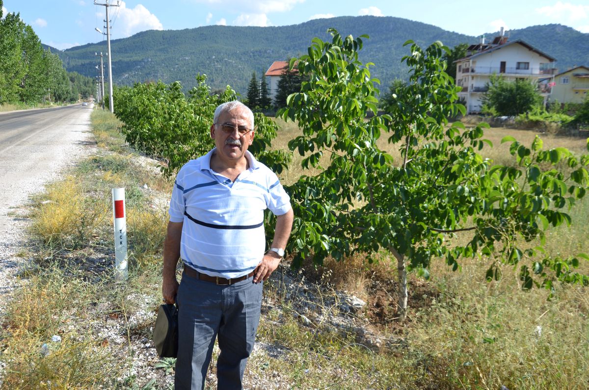 Cevizli Beldesinde 700 Adet Ceviz Fidanı Dikildi