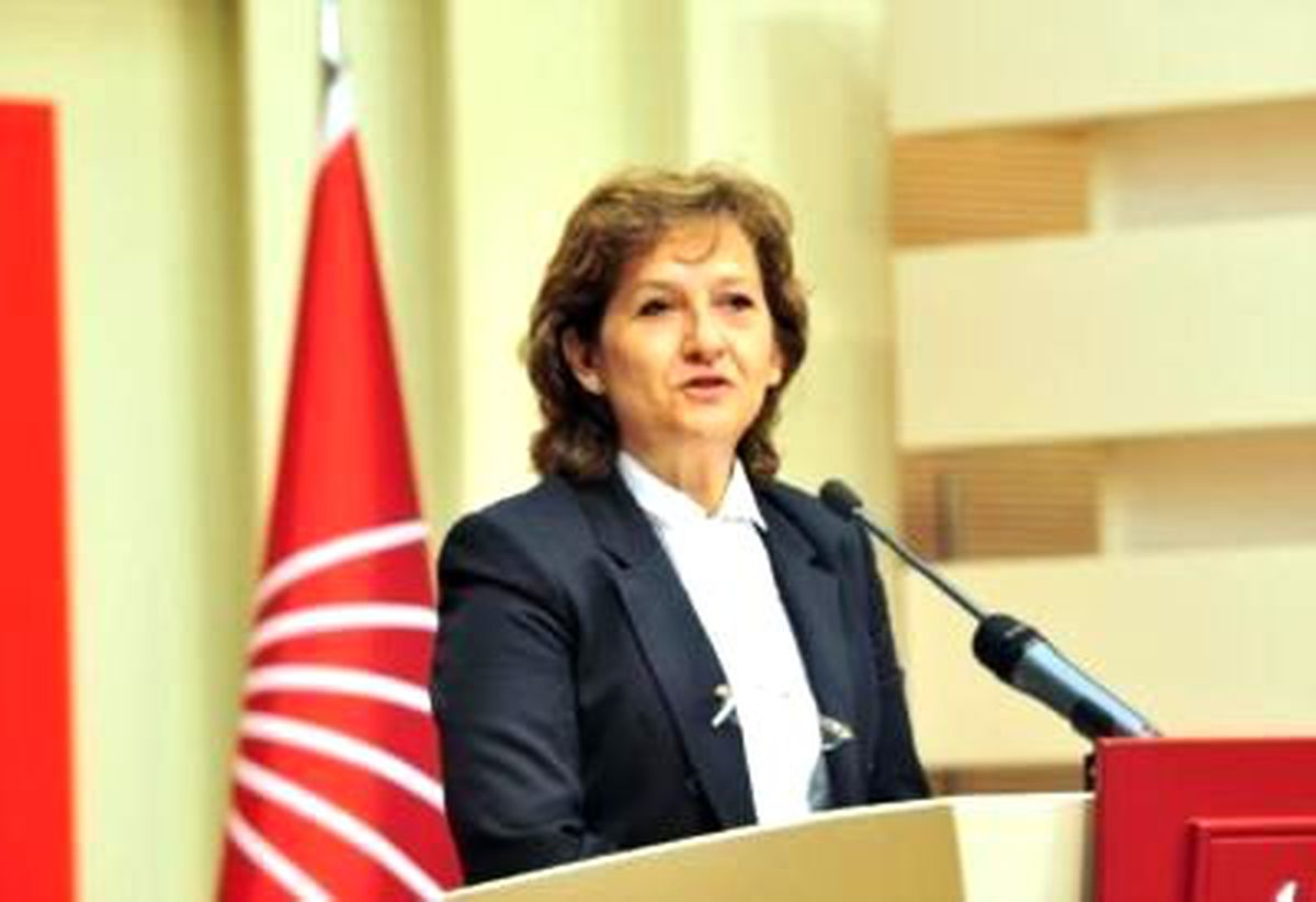 CHP\'li Birgül Ayman Güler\'in Basın Toplantısı