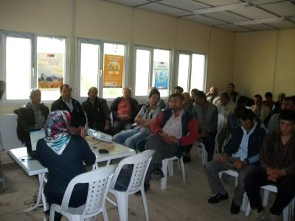 Hayvancılık Süt Otu ile Geliştirilecek