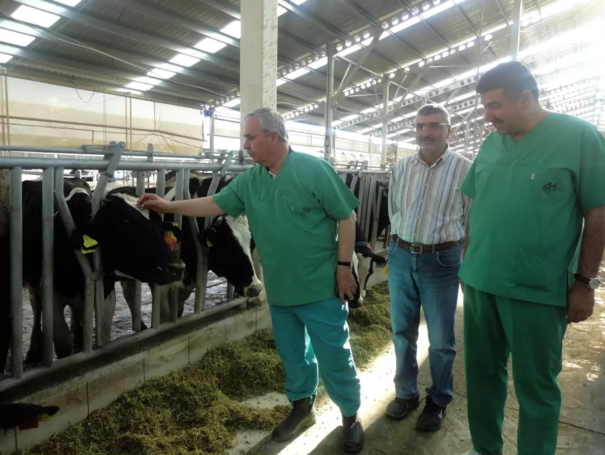 Köylü, Devrekani\'de İncelemelerde Bulundu