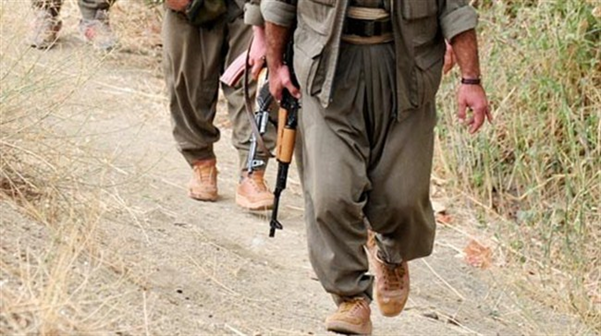 Van\'da İki PKK\'lı Ele Geçirildi
