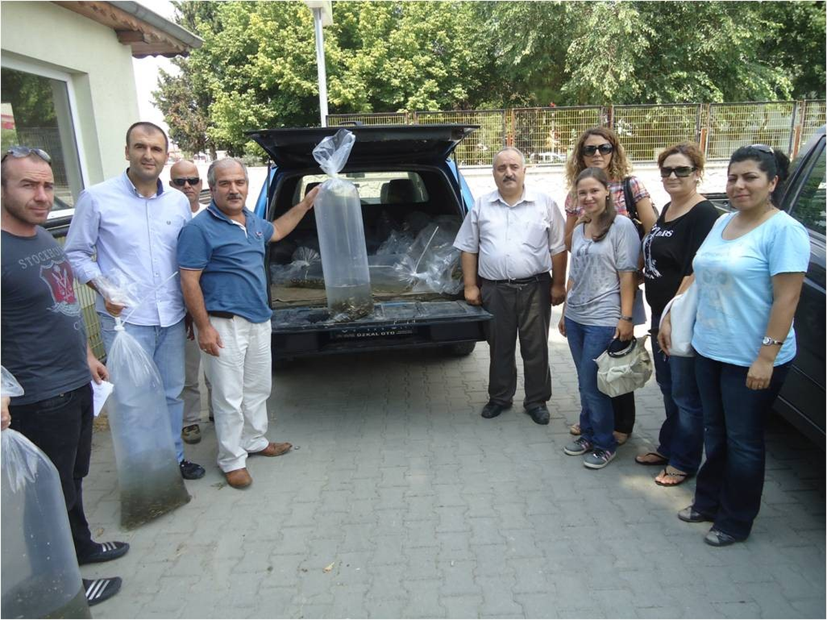 Sakarya\'da Göletleri Balıklandırma Çalışmaları