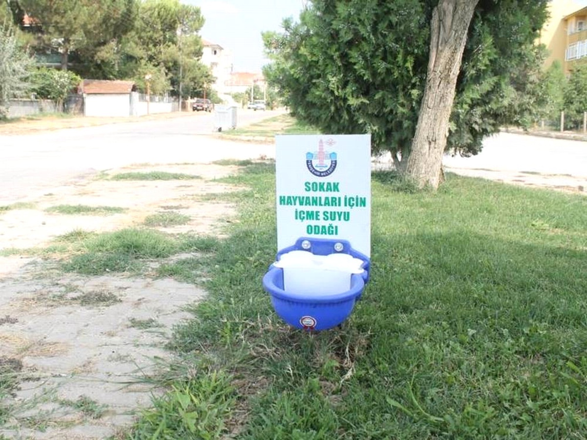 Sokak Hayvanlarına Otomatik Suluk