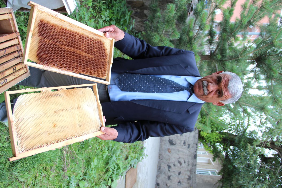 Ardahanlı Arıcılar Perişan,