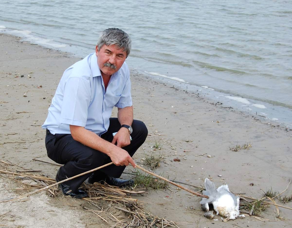 Balıkesir Milletvekili Namık Havutça Manyas Gölü\'ne Arıtma Tesisi Kurulmasını İstedi