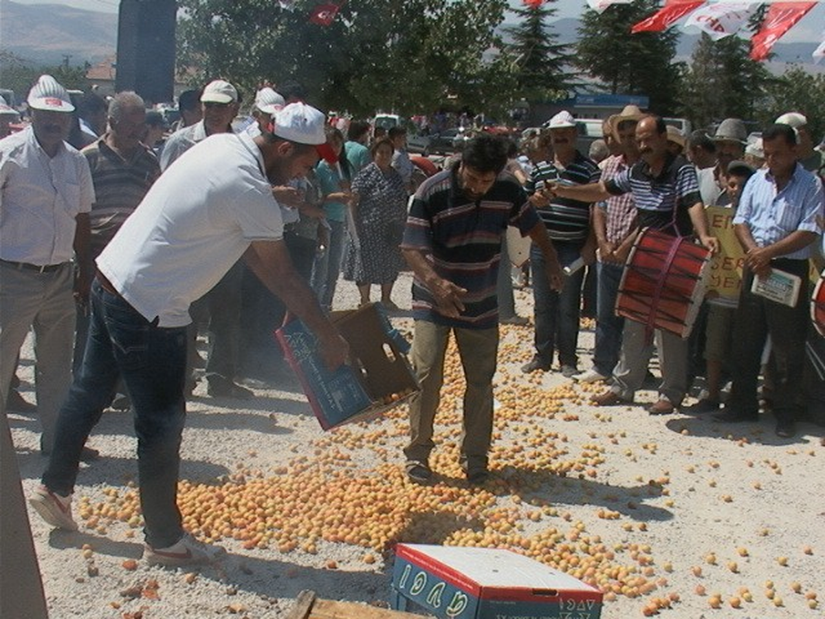 Chp, Kayısı Çiftçileri İçin Miting Düzenledi