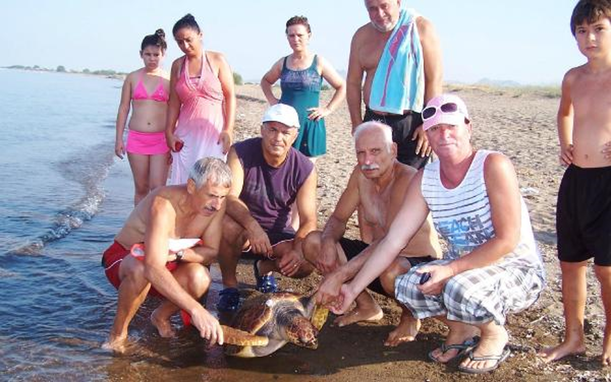 Dikili\'de Balıkçı Ağlarına Takılan Bir Caretta Daha Öldü