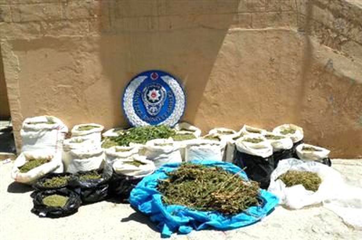 Hani\'de 287 Kilogram Esrar ve 21 Bin Kök Hint Keneviri Ele Geçirildi