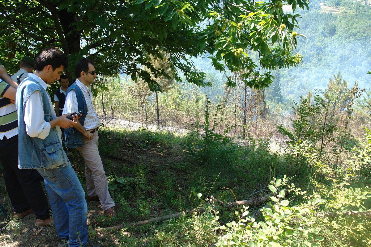 Kastamonu\'daki Orman Yangını Sürüyor