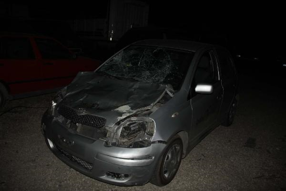 Otomobilin Çarptığı At Telef Oldu