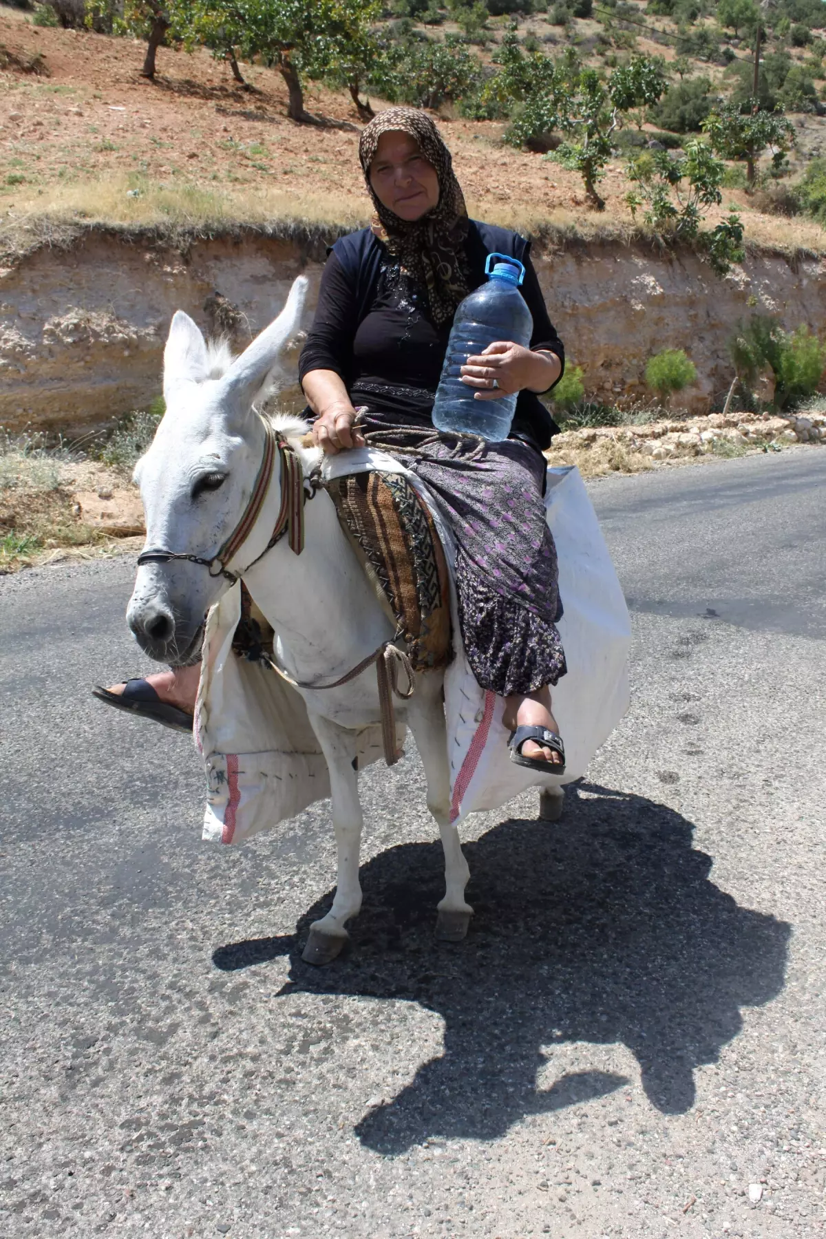 Tatlıcak\'ta İçme Suyundaki Kirliliğe Tepki