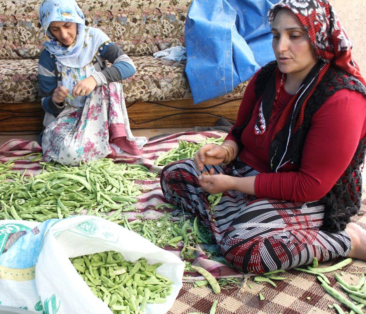 Van\'da Kış Hazırlığı Başladı