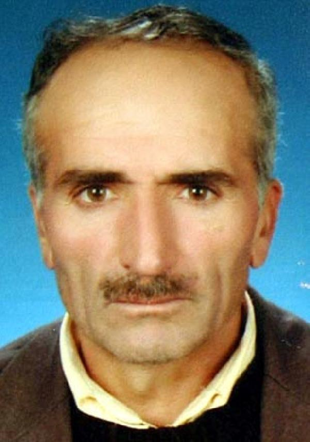 Sivas'ta Ayı Saldırısı; 1 Ölü, 1 Yaralı