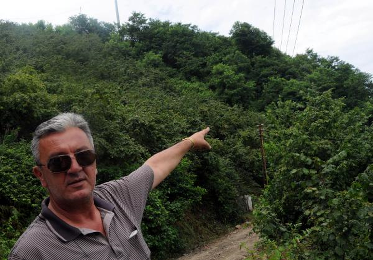 Yalıköy Daha Fazla Güneş Görsün Diye Tepe 40 Metre Daha Tıraşlanıyor