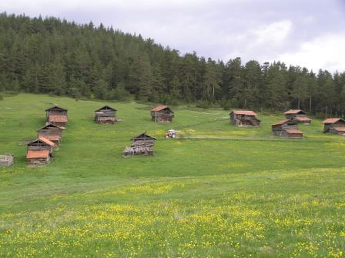Yayla Evlerı Turızme Açılacak