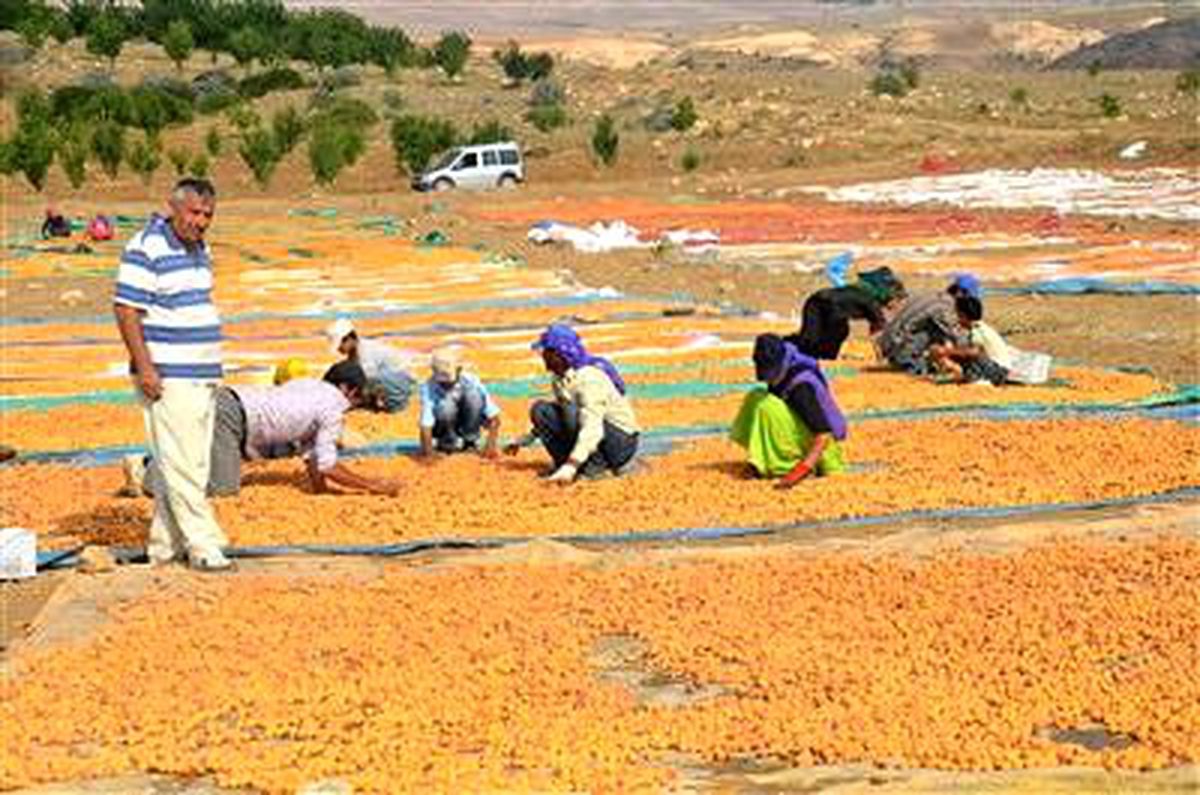 Malatya Ticaret Borsası\'nda Bir Ayda 62 Milyon 886 Bin TL\'lik İşlem