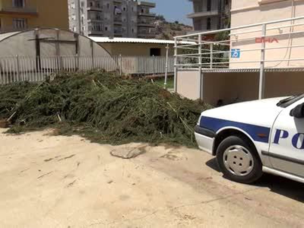 Seraya Kenevir Baskını