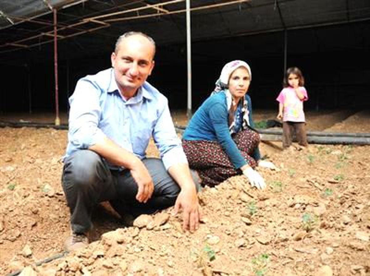 Sıcaklar Nedeniyle Seralarda Gece Mesaisi Başladı