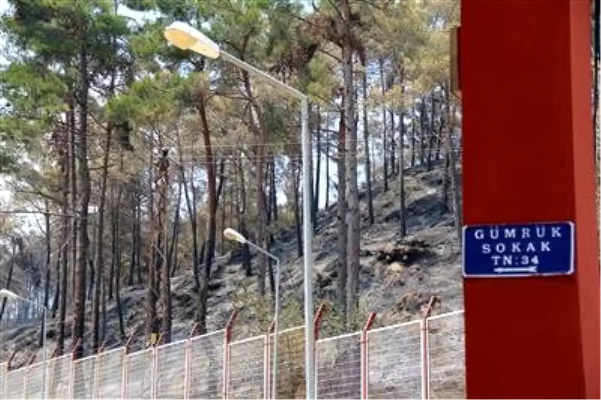 Sınırdaki Yangın Söndürüldü