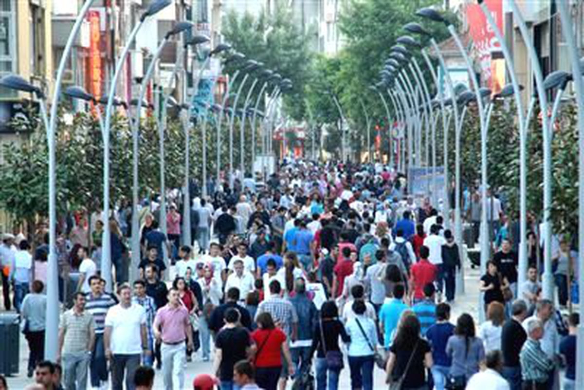 Anar\'ın Sakarya Anketi