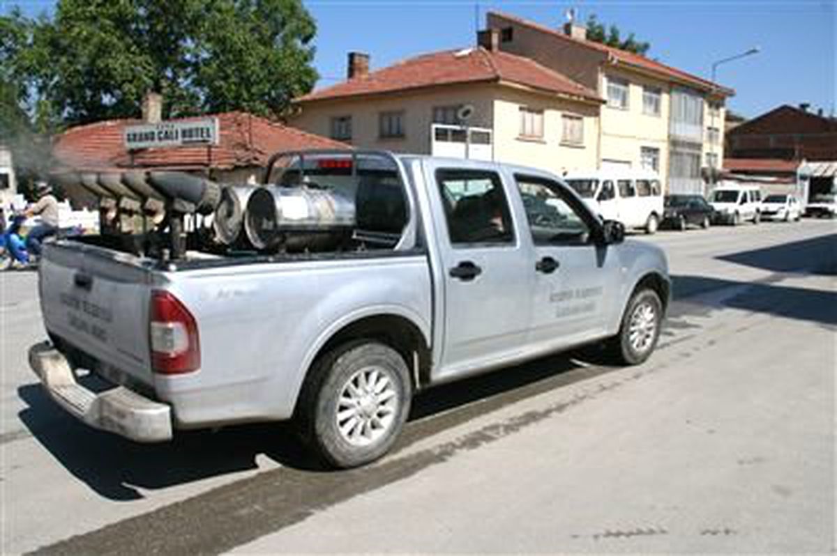 Bozüyük Gül Kokuyor