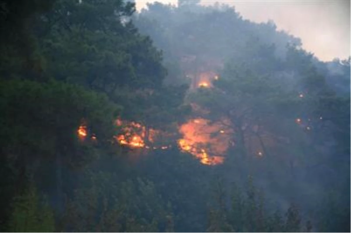 Datça\'da Orman Yangını