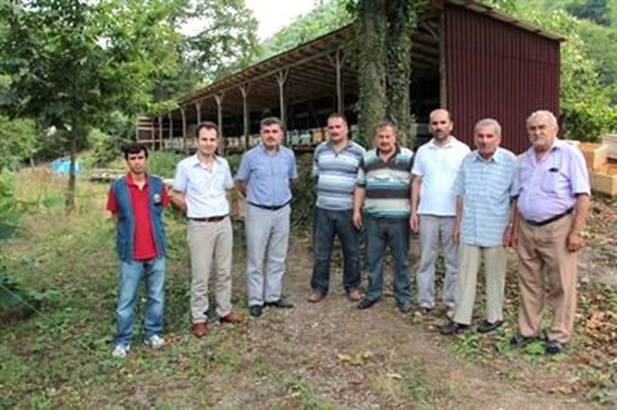 Geçimlerini Kestane Balı ile Sağlıyorlar