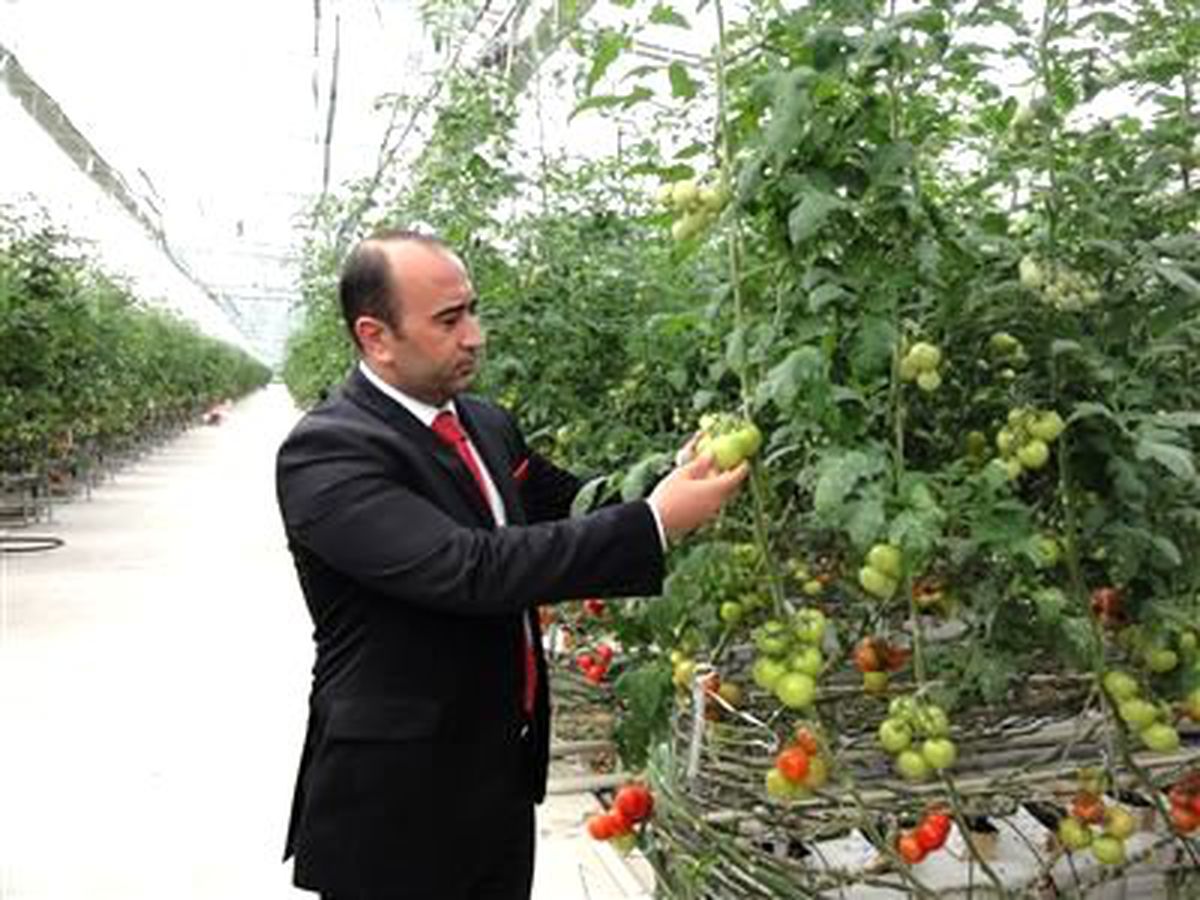 Gıda Tarım İl Müdürü İlçeleri Ziyaret Etti
