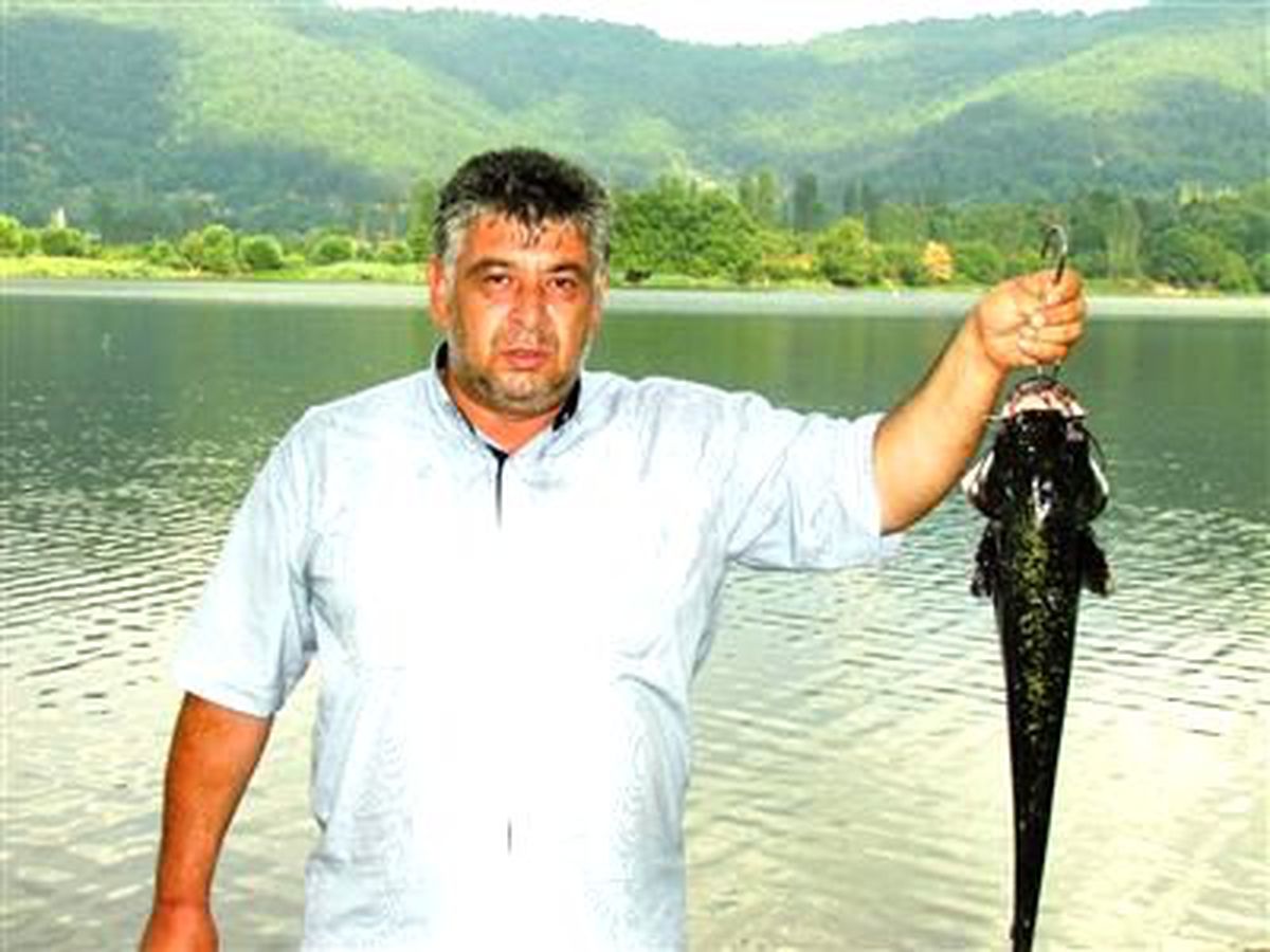 Gölcük\'te Yayın Balığı Bereketi