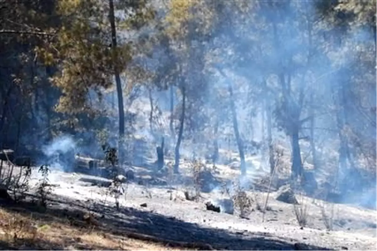 Gündoğmuş'ta Orman Yangını Çıktı