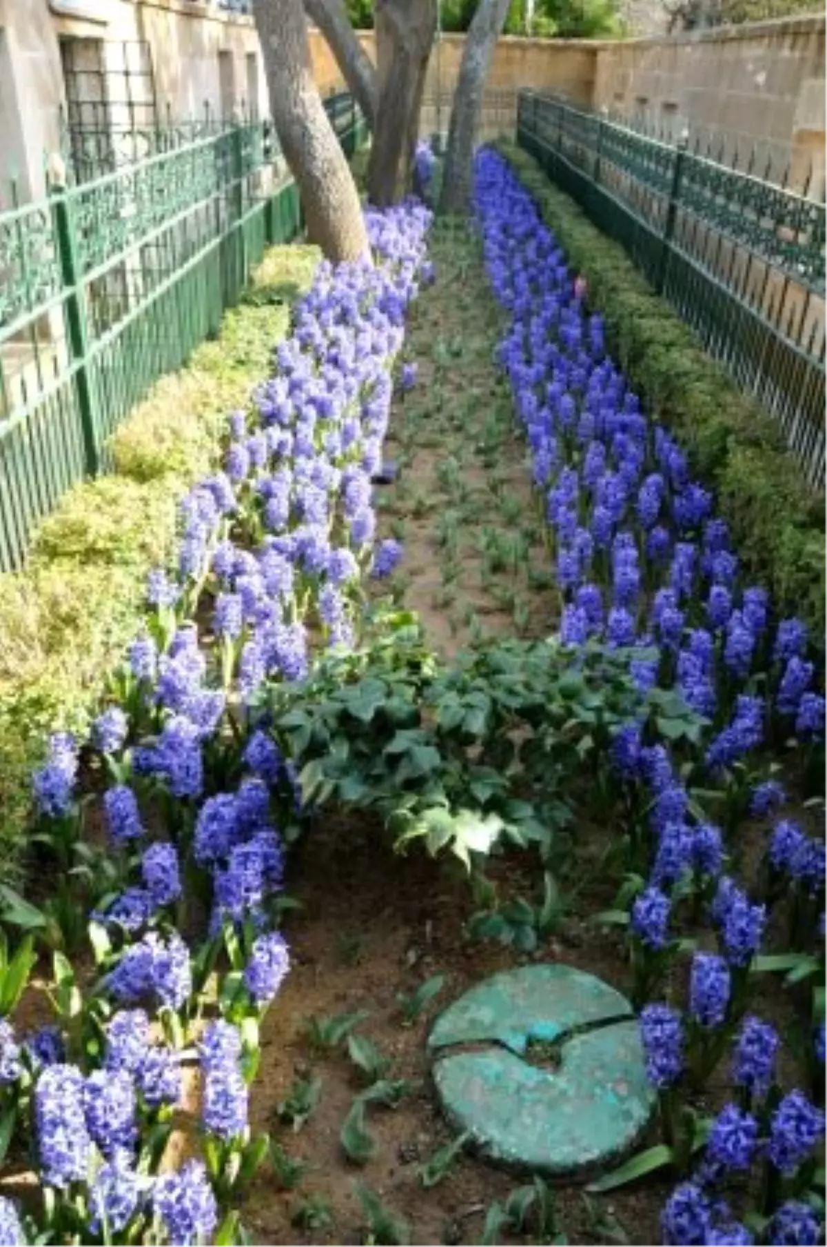 Hz. Yuşa Türbesi Yeni Çehresine Kavuşuyor