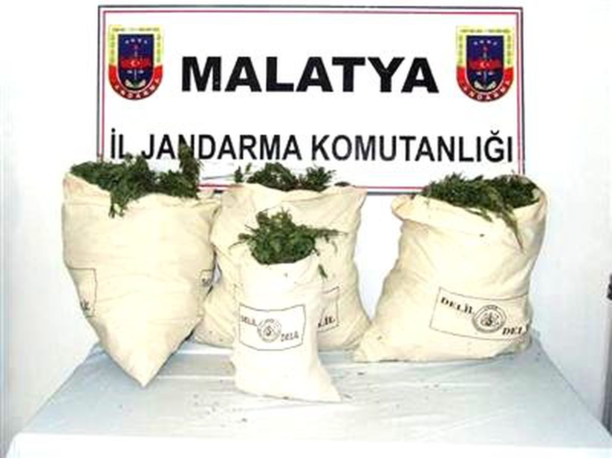 Malatya\'da 22 Kilo Esrar Ele Geçirildi