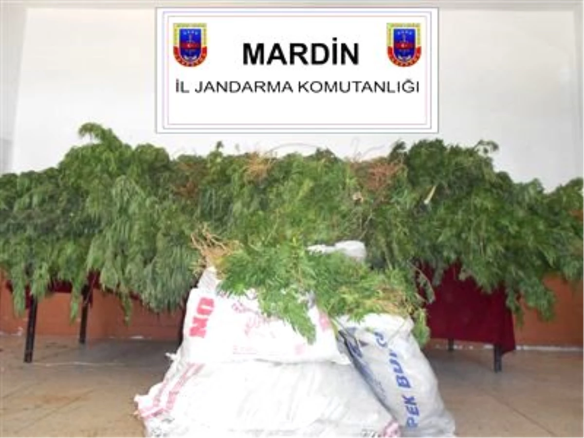 Mardin\'de 7,5 Kg Uyuşturucu Madde Ele Geçirildi