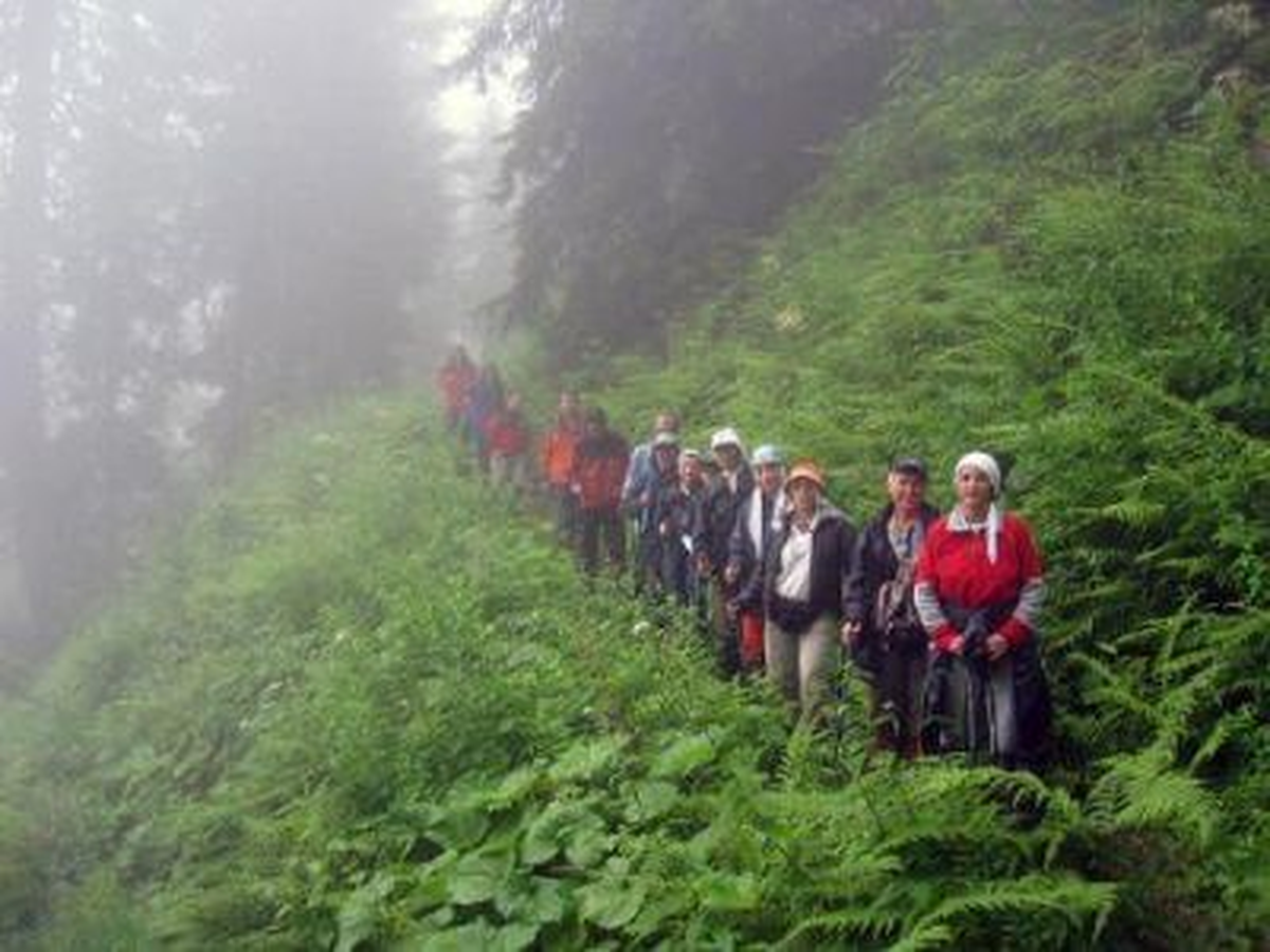 Rize'de Belçikalı 4 Turist Yaylada Kayboldu