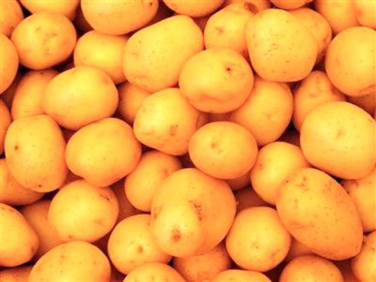 Ülsere Yeni Çare: Patates Suyu