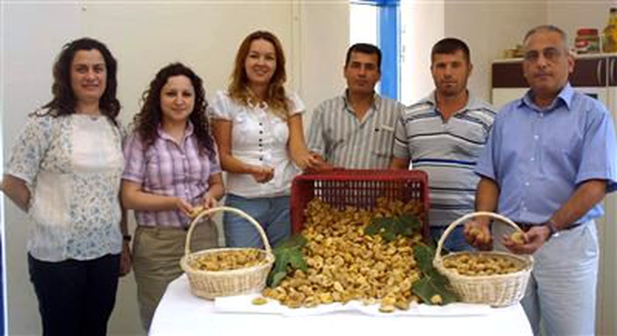 Aydın Ticaret Borsası Sezonun İlk İncirini Aldı