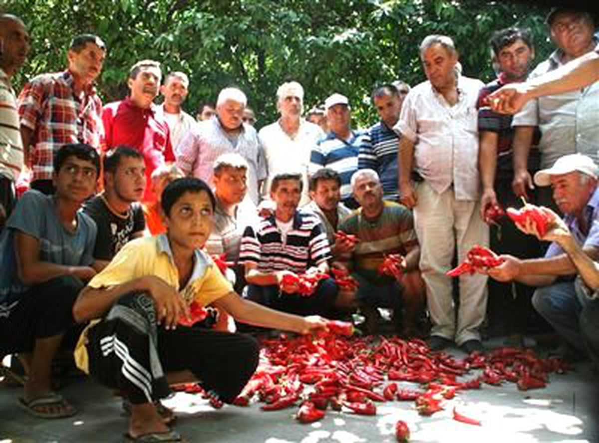 Bibercilerin \'Ekmekli\' Eylemi