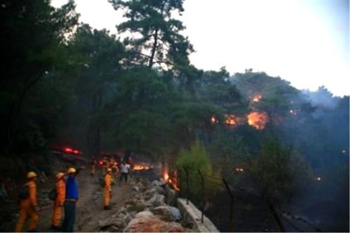 Datça\'da 1 Hektarlık Ormanlık Alan Zarar Gördü