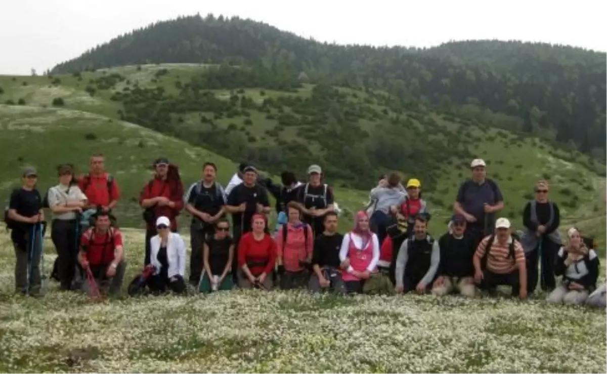 GEDOSK, 16. Yaşında