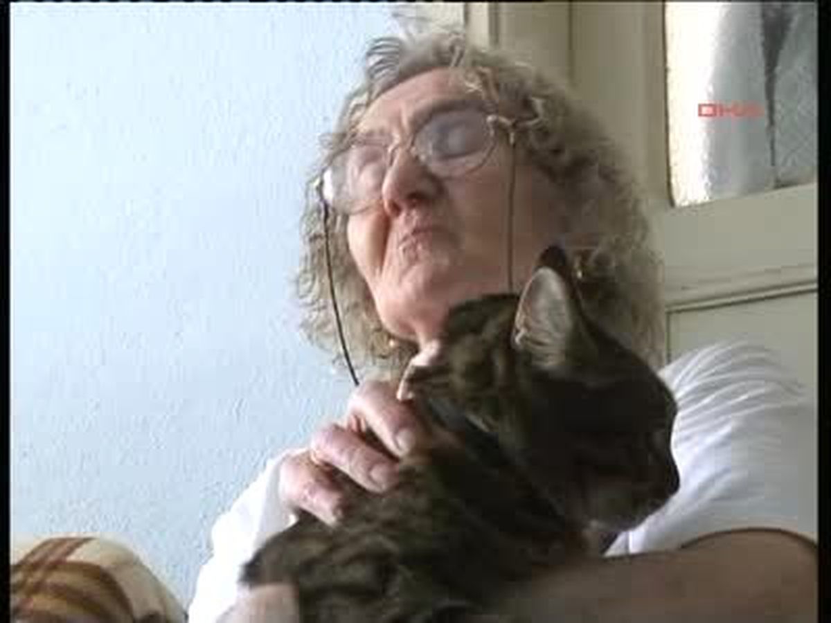Hayvansever Çifte Kedi Besleme Cezası