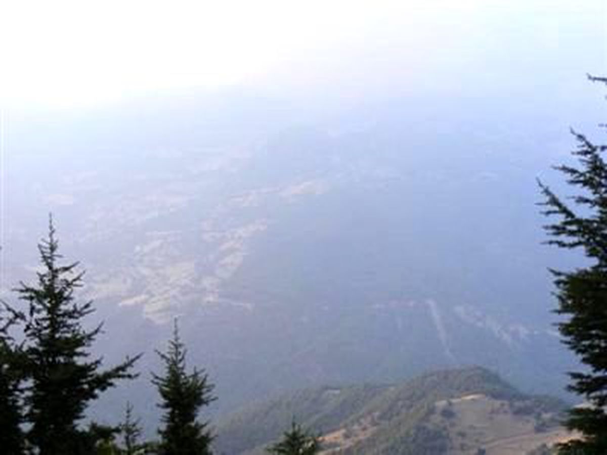 Kahramanmaraş\'ta 20 Hektar Orman Yandı (2)