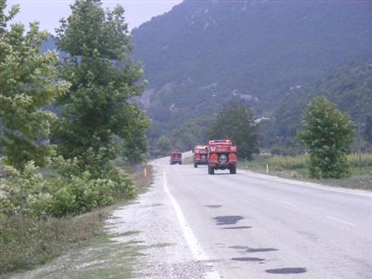 Kahramanmaraş\'ta Orman Yangını