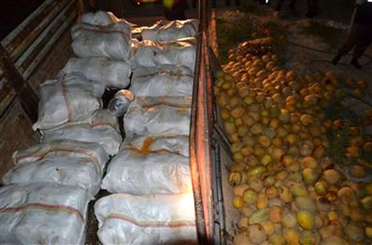 Kavunların Arasına Gizlenmiş 900 Kilo Esrar Ele Geçirildi