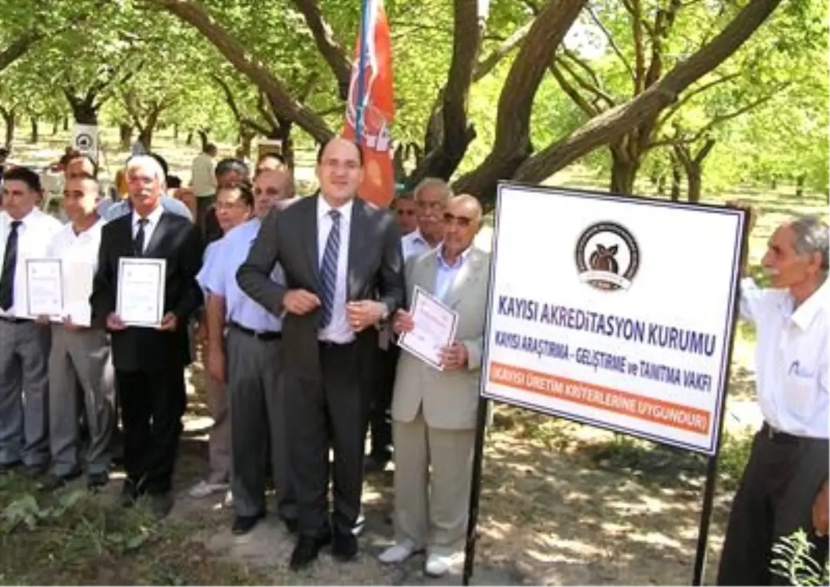 Kayısı Uygunluk Belgesi Düzenlenen Törenle Verilmeye Başlandı