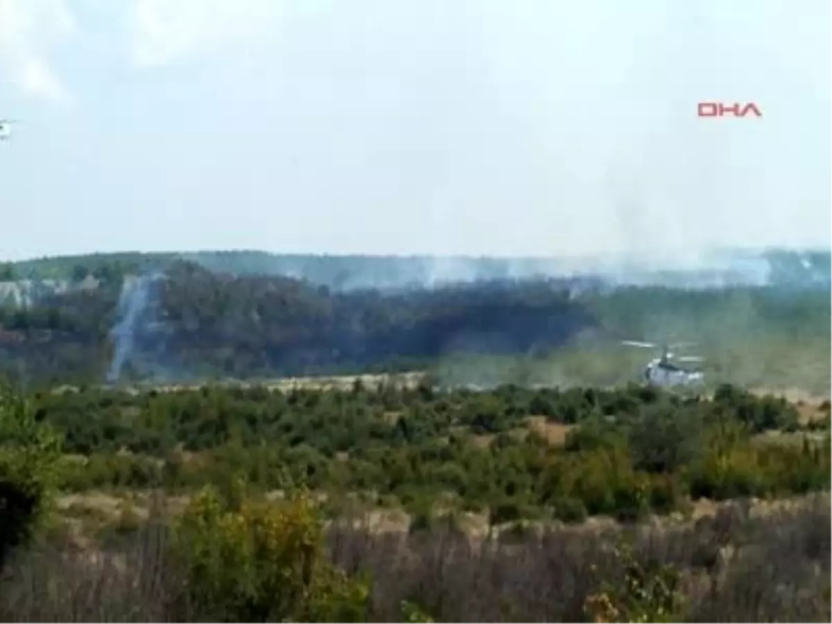 ) Malkara'da Orman Yangını