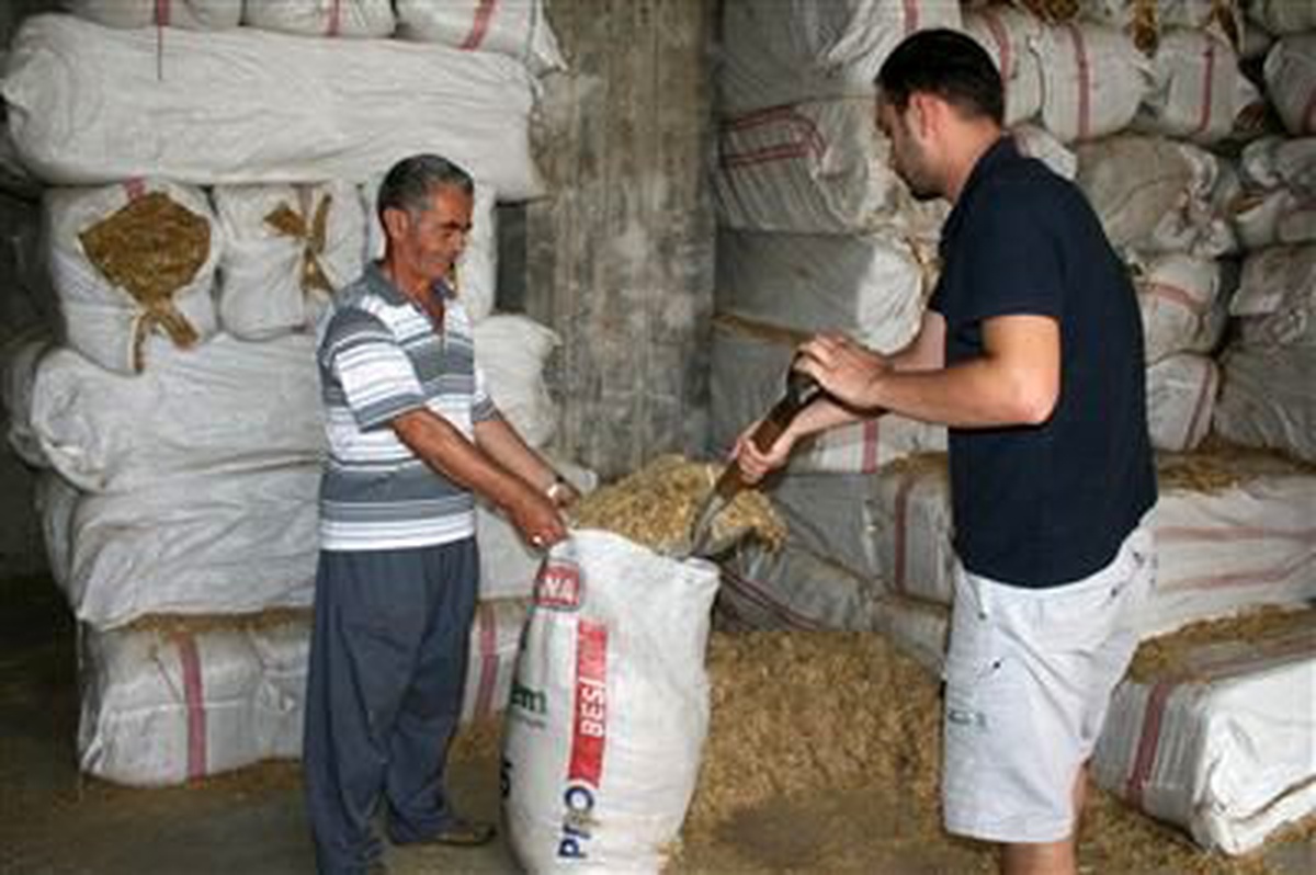 Saman Fiyatları Yüzde 170 Arttı