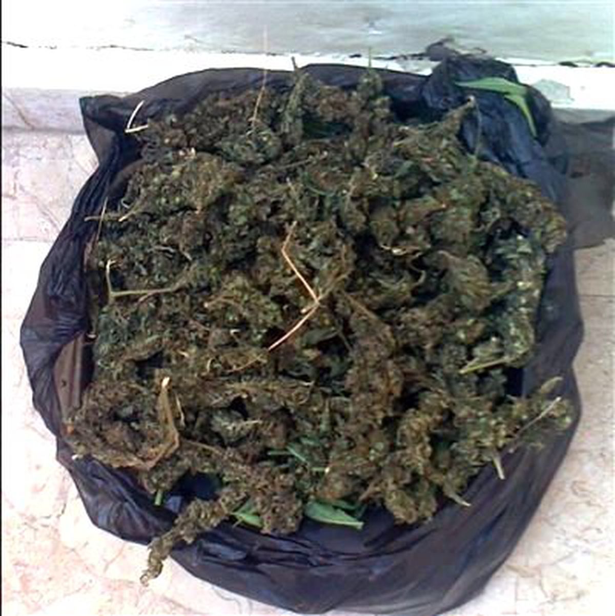 Aydın\'da Uyuşturucu Operasyonu